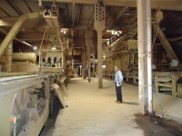 پروژه ساوین چوب